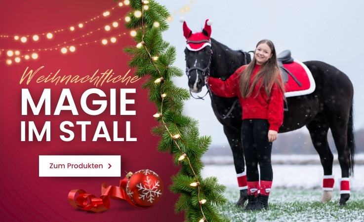 Zestaw świąteczny DE