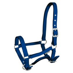 Foal halter York Tobi