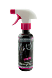 Premium Top Glanzspray GirlzSerie Optenplatz