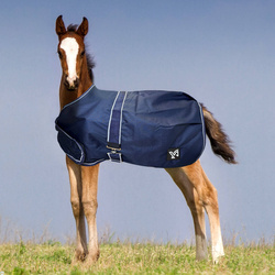 York Foal Rug 100g