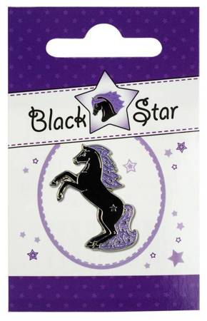 Lapel Pin HR Black Star