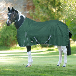 York Glacier Turnout Rug