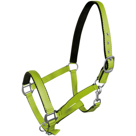 Halfter York Fluo