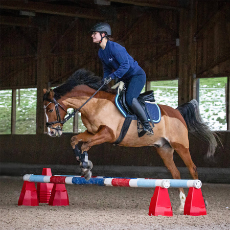 Pylonetti for cavaletti training