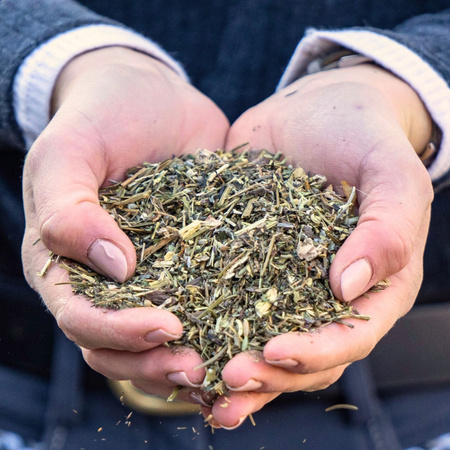 Hustenkrauter Stiefel mieszanka ziołowa 1000 g