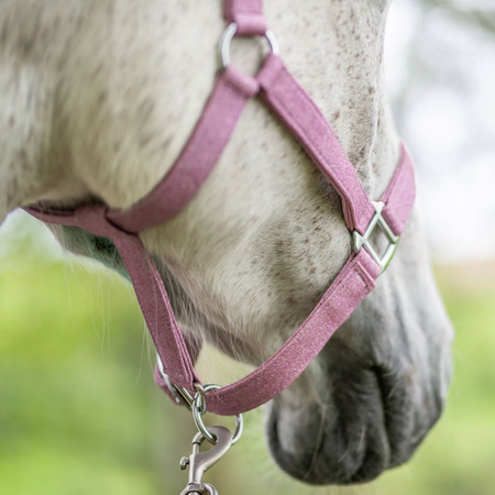 Halter Horsenjoy Marvel