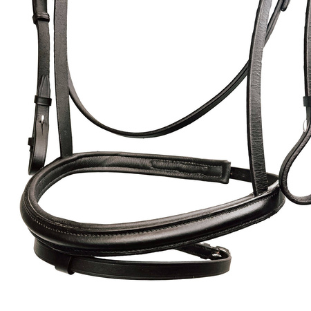 Tranzelka York Frida