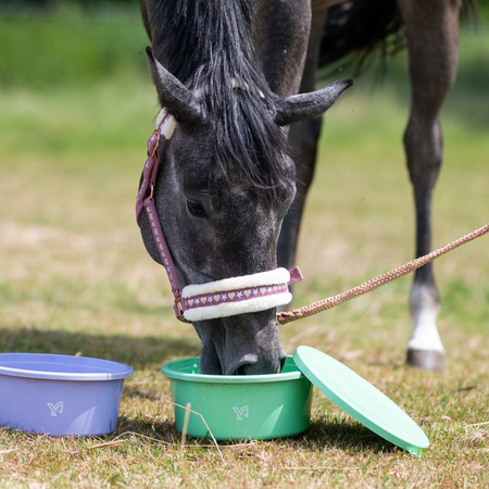 Bowl with lid York Erin 5 L NEW