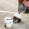 Mineral-Paste Stiefel