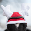 Ear bonnet York Christmas Reindeer