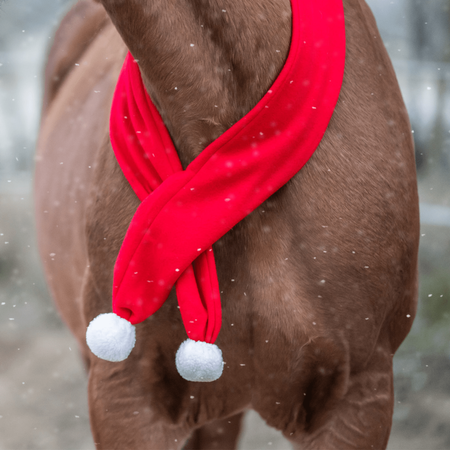 Horse scarf York Christmas