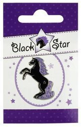 Lapel Pin HR Black Star