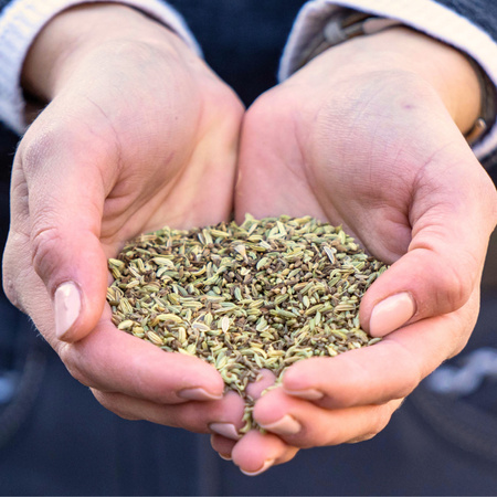 Stomach Herbs Stiefel