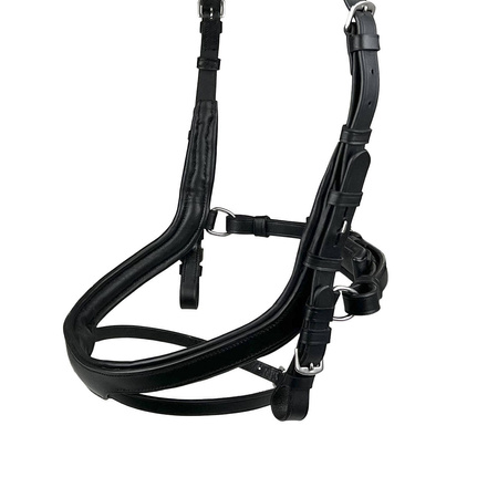 Bridle York Idalia