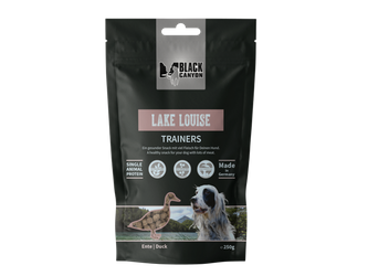 Lake Louise Trainers for dogs (duck)