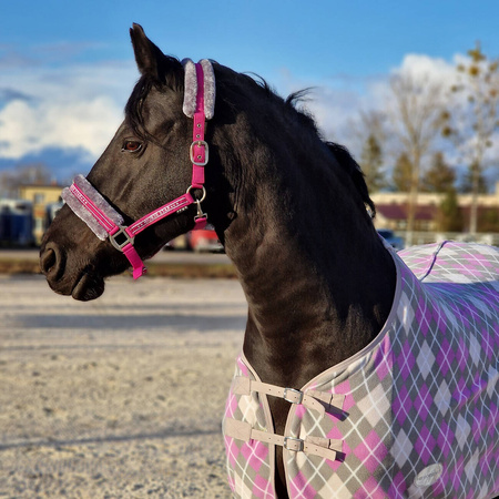 Halfter Horsenjoy Horse Star