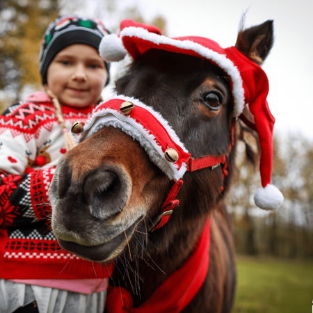 Christmas halter bells York