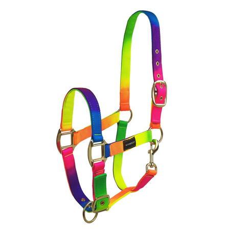 Halter Horsenjoy Rainbow Tropical heat