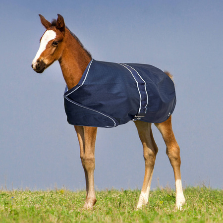York Foal Rug 100g