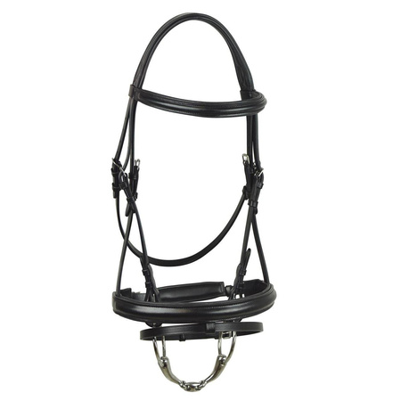 Bridle York Livia II