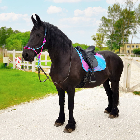 Czaprak Horsenjoy Rainbow wszechstronny