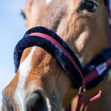 Halter Horsenjoy Royal