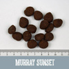 Murray Sunset Senior/Light Turkey & Salmon 14 kg