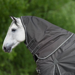 Horsenjoy Halsteil 100g