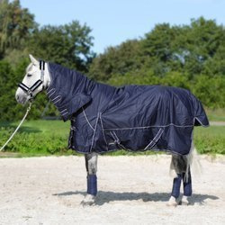Turnout rug Horsenjoy Aspen 600D with neck cover 200 g
