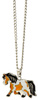 Necklace HR changing color Pony