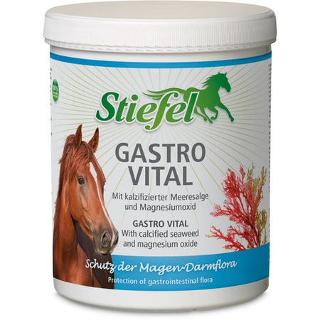 Gastro Vital Stiefel na żołądek