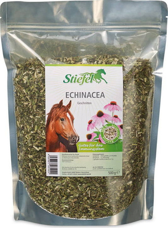 Echinacea Stiefel fein