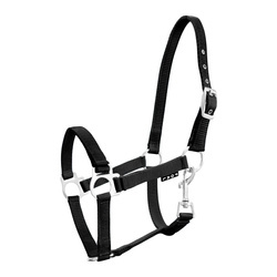 Foal halter York