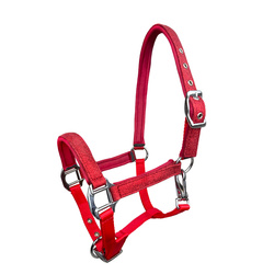 Foal halter York Aston