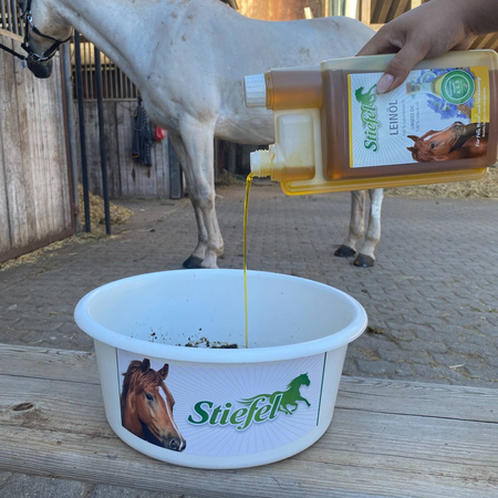 Lein-Ol Stiefel linseed oil