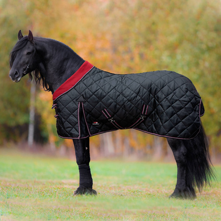 Stable rug Horsenjoy Meribel 300g