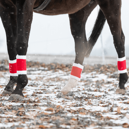 Bandages York Christmas