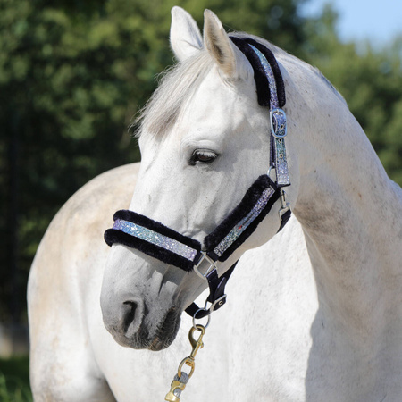 Halter Horsenjoy Rainbow Brilliant