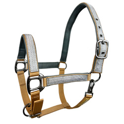 Halter Horsenjoy Glow