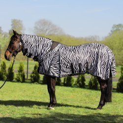 Fly rug York Zebra with neck cover