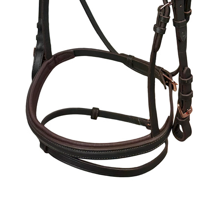 Bridle York Gemma