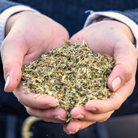 Metabolism herbs Stiefel