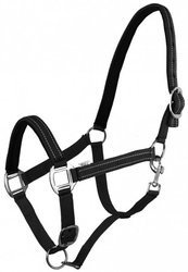 Halter York Teo