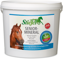 Senior Mineral Stiefel