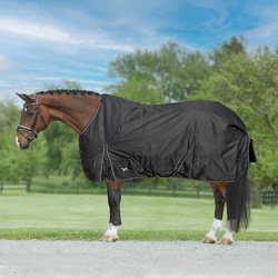 Turnout rug York Gold Star 600D with insulation 100g