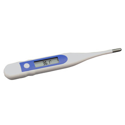 Digital thermometer with display