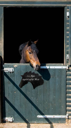 Chalkboard Stickers HR with horses