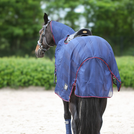 Fly riding rug York Lyra