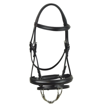 Bridle York Livia II