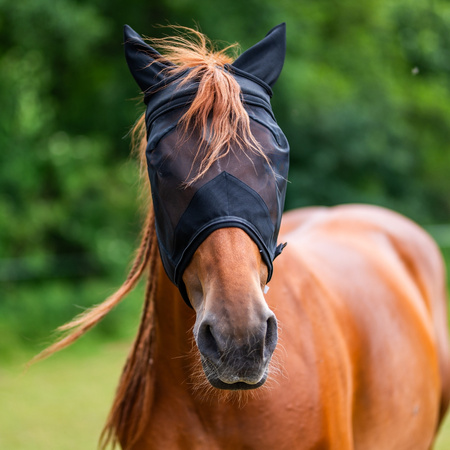 York Syntia Fly Mask 3 in 1